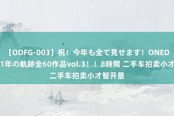 【ODFG-003】祝！今年も全て見せます！ONEDAFULL1年の軌跡全60作品vol.3！！8時間 二手车拍卖小才智开垦