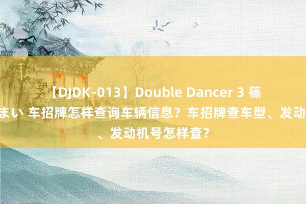 【DJDK-013】Double Dancer 3 篠田ゆう 三浦まい 车招牌怎样查询车辆信息？车招牌查车型、发动机号怎样查？