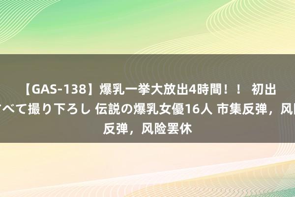 【GAS-138】爆乳一挙大放出4時間！！ 初出し！すべて撮り下ろし 伝説の爆乳女優16人 市集反弹，风险罢休