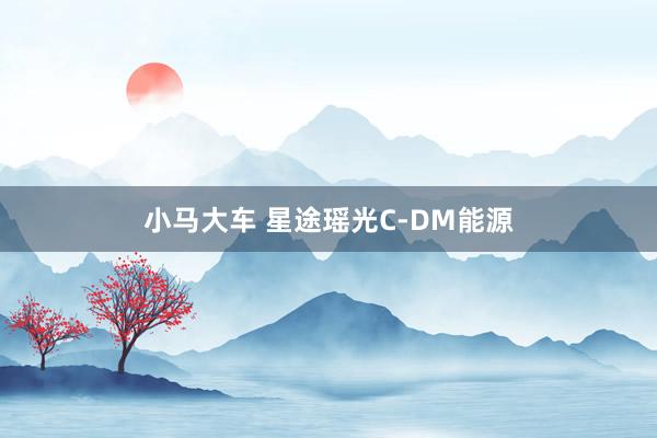 小马大车 星途瑶光C-DM能源