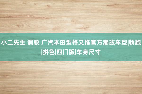 小二先生 调教 广汽本田型格又推官方潮改车型|轿跑|拼色|四门版|车身尺寸